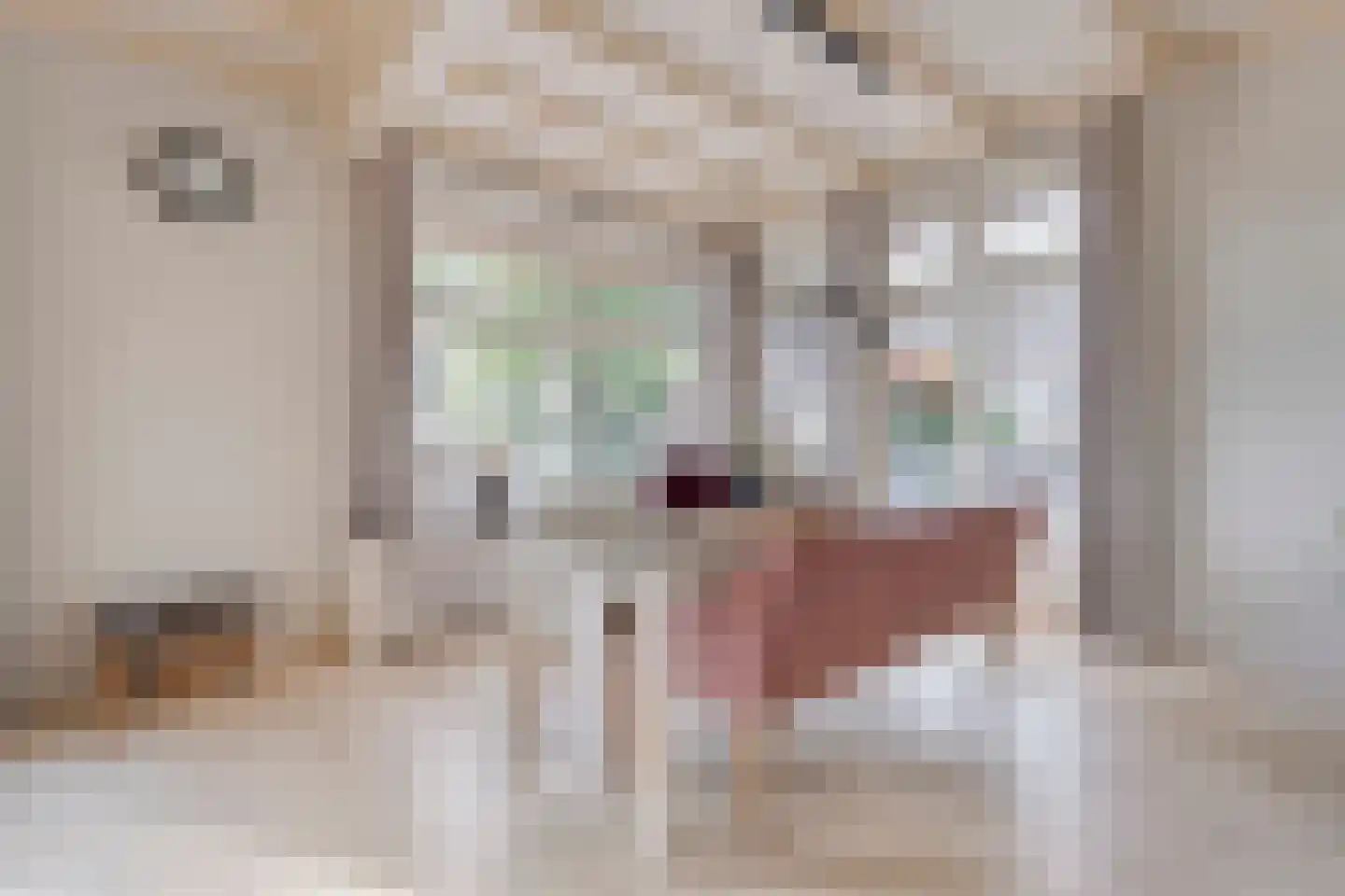 Hoofdweg 12 Nijensleek thumbnail 21