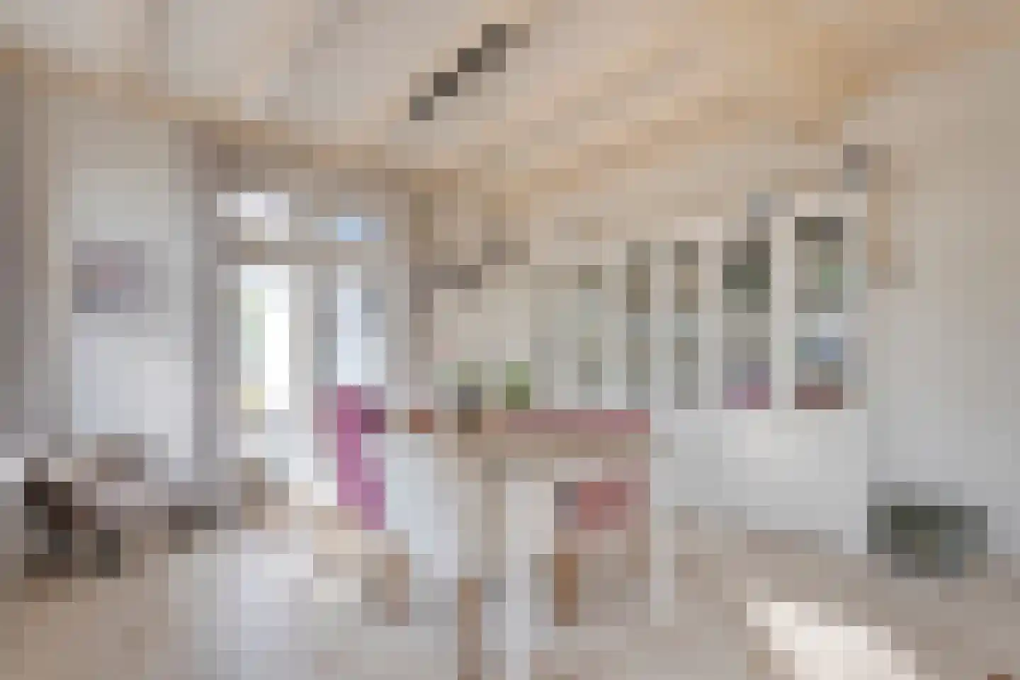 Hoofdweg 12 Nijensleek thumbnail 22