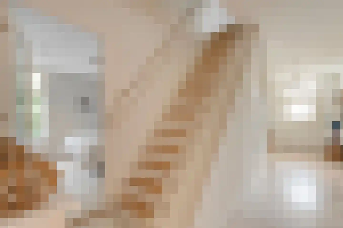 Hoofdweg 12 Nijensleek thumbnail 31
