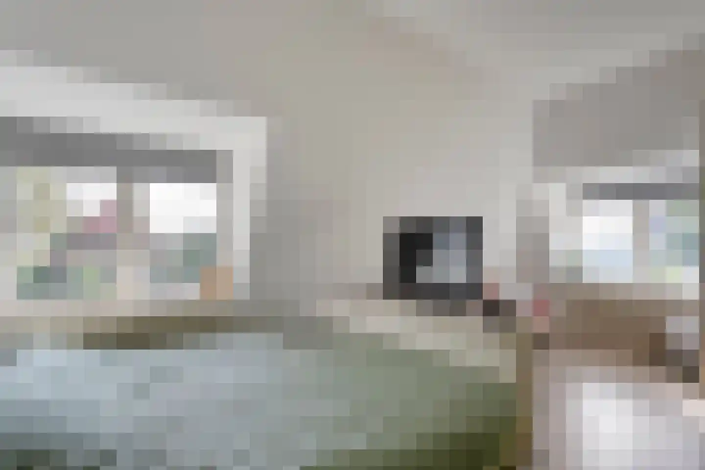 Hoofdweg 12 Nijensleek thumbnail 34