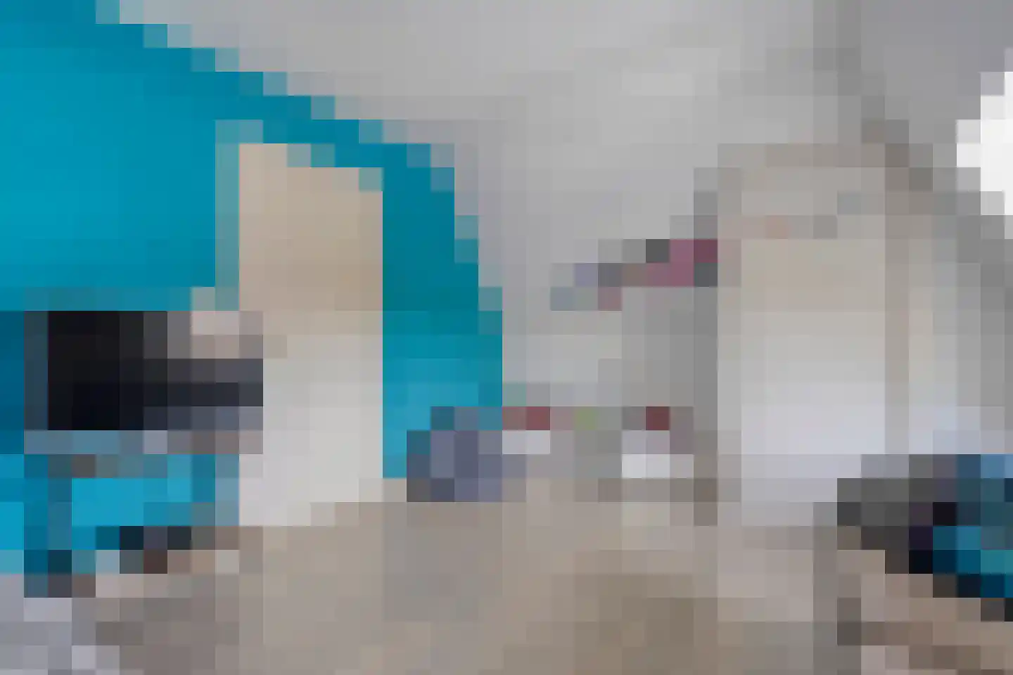 Hoofdweg 12 Nijensleek thumbnail 37