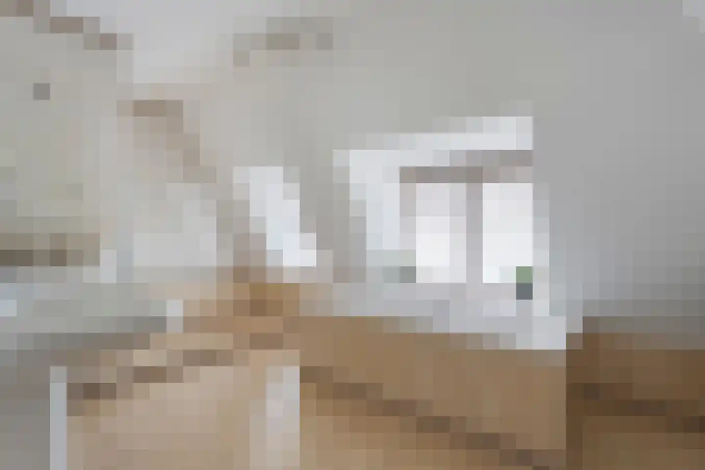 Hoofdweg 12 Nijensleek thumbnail 41