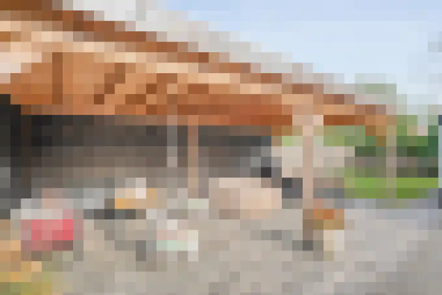 Hoofdweg 12 Nijensleek thumbnail 47