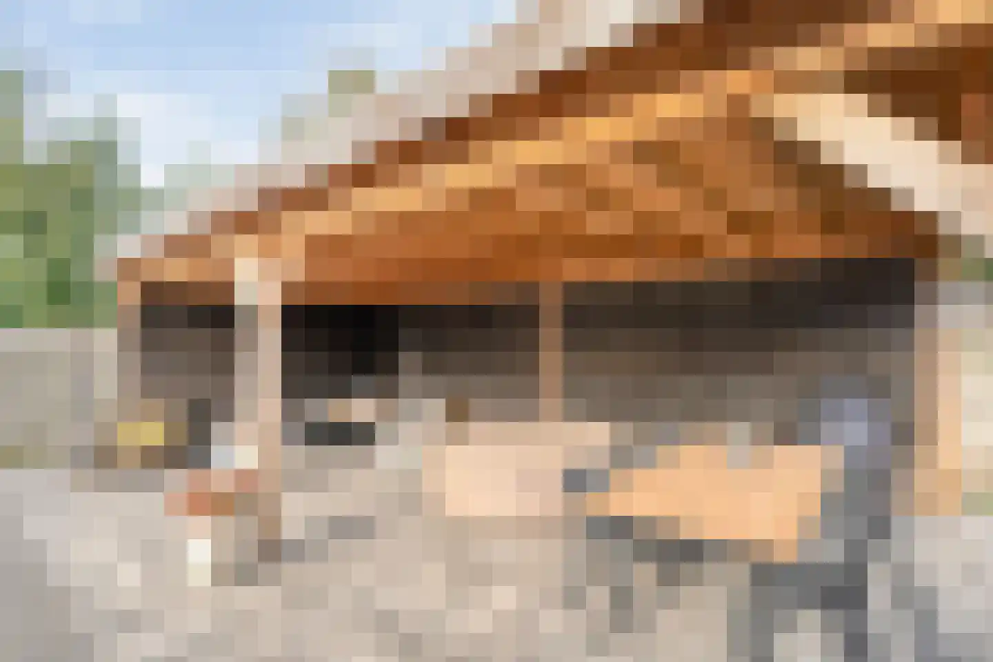 Hoofdweg 12 Nijensleek thumbnail 48
