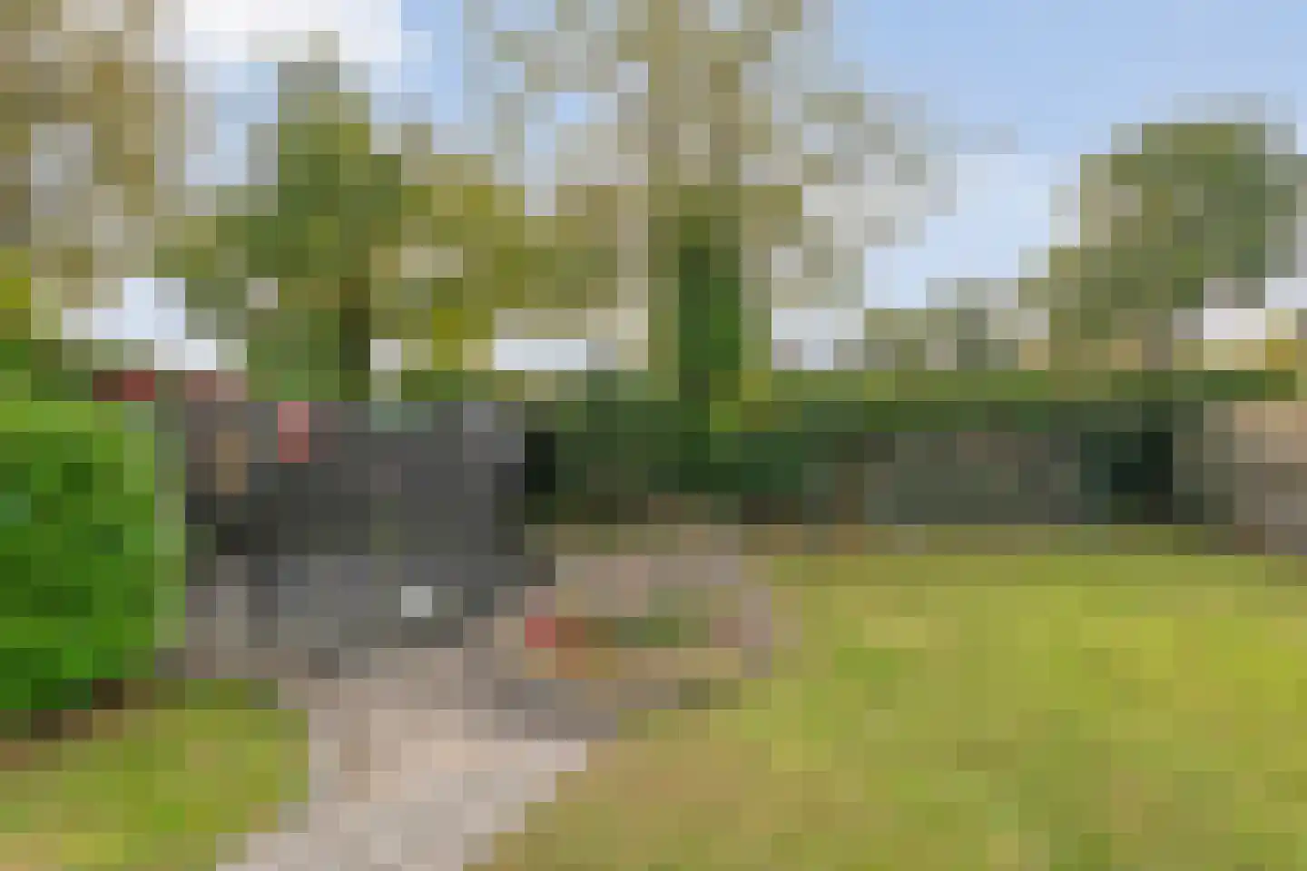 Hoofdweg 12 Nijensleek thumbnail 51