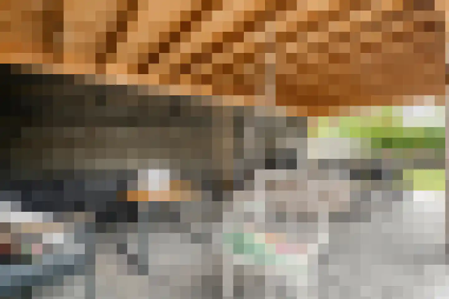 Hoofdweg 12 Nijensleek thumbnail 53