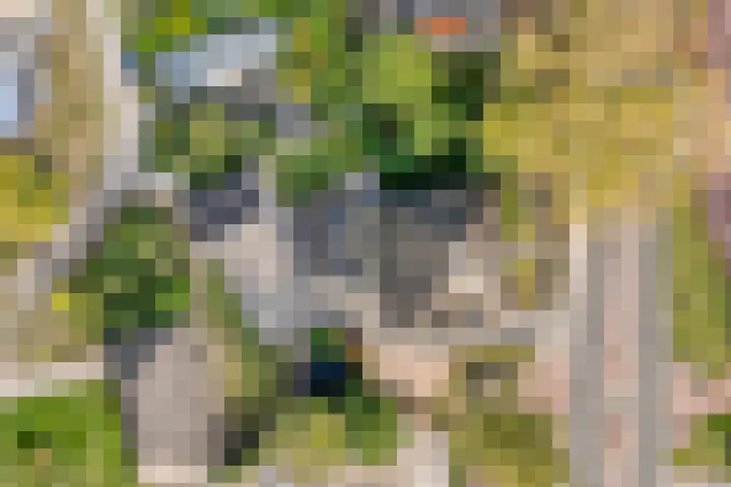 Hoofdweg 12 Nijensleek thumbnail 55