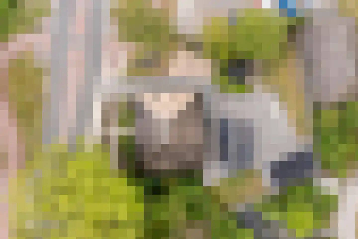 Hoofdweg 12 Nijensleek thumbnail 57