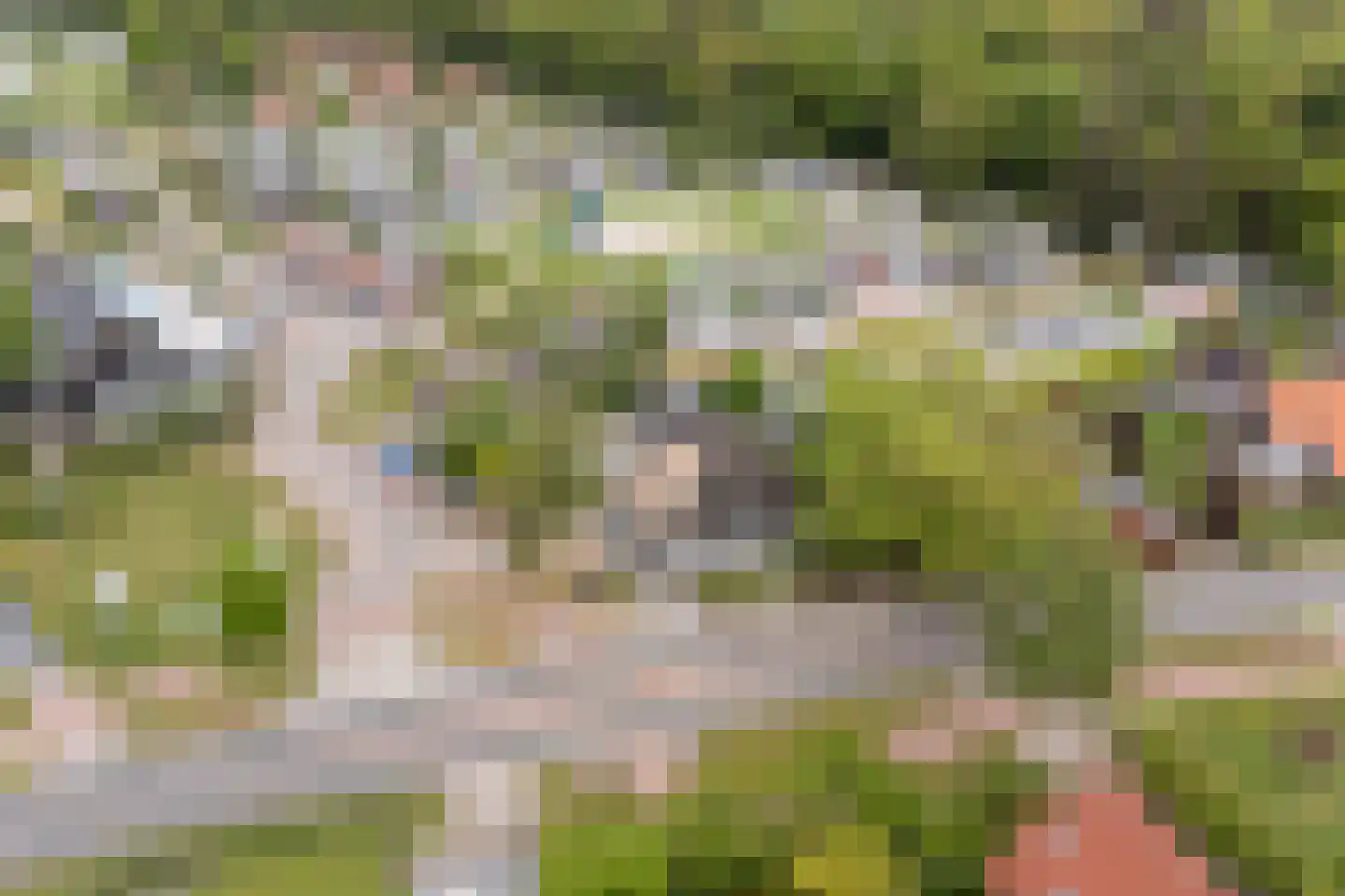 Hoofdweg 12 Nijensleek thumbnail 59