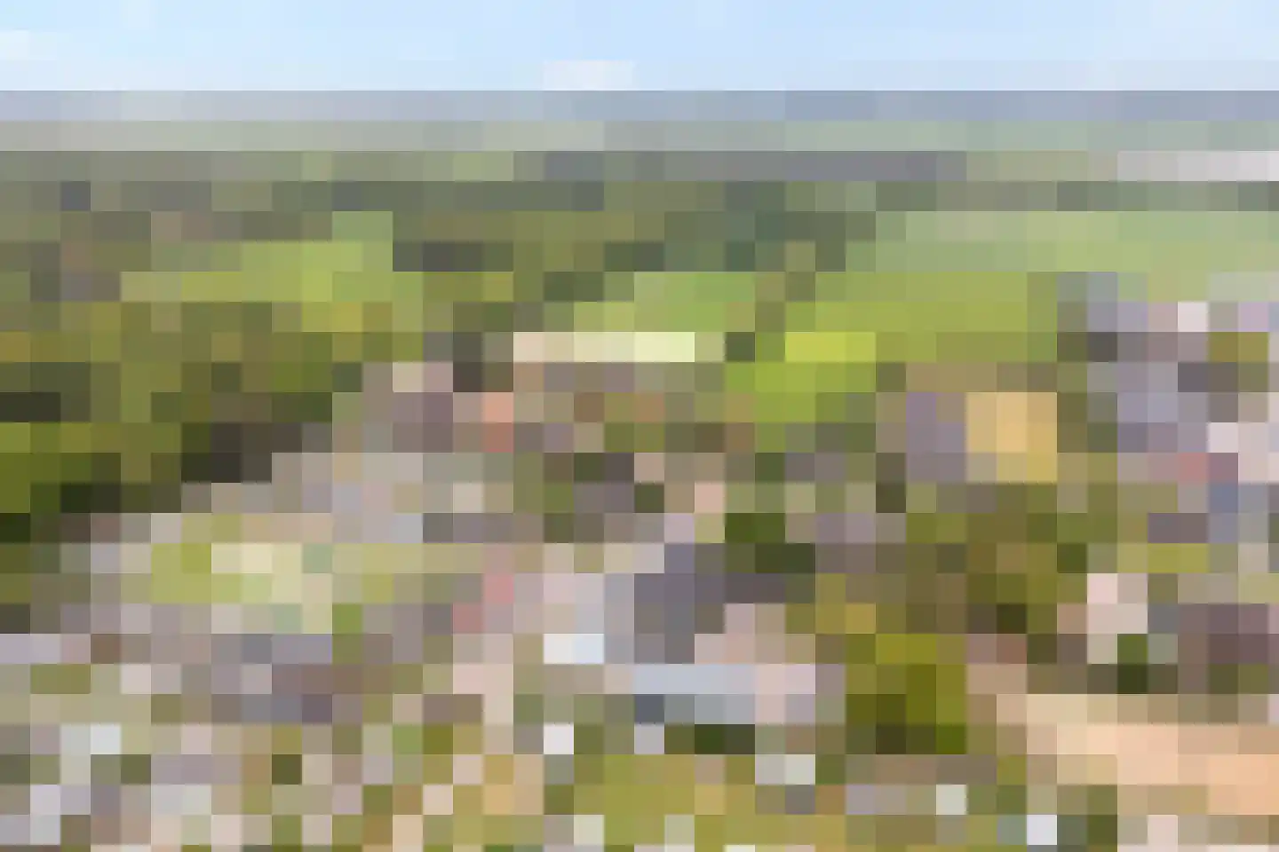 Hoofdweg 12 Nijensleek thumbnail 62