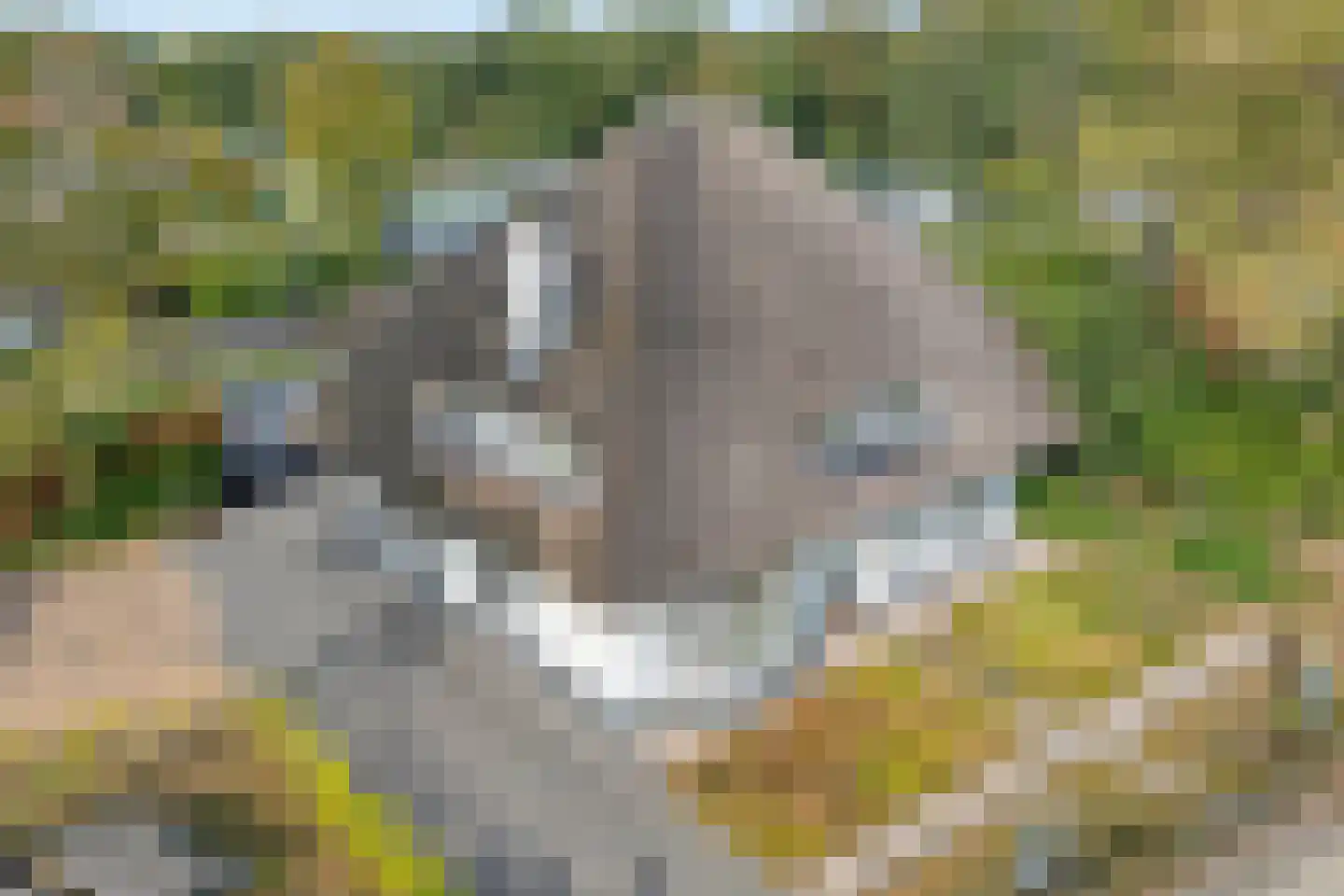 Hoofdweg 12 Nijensleek thumbnail 7