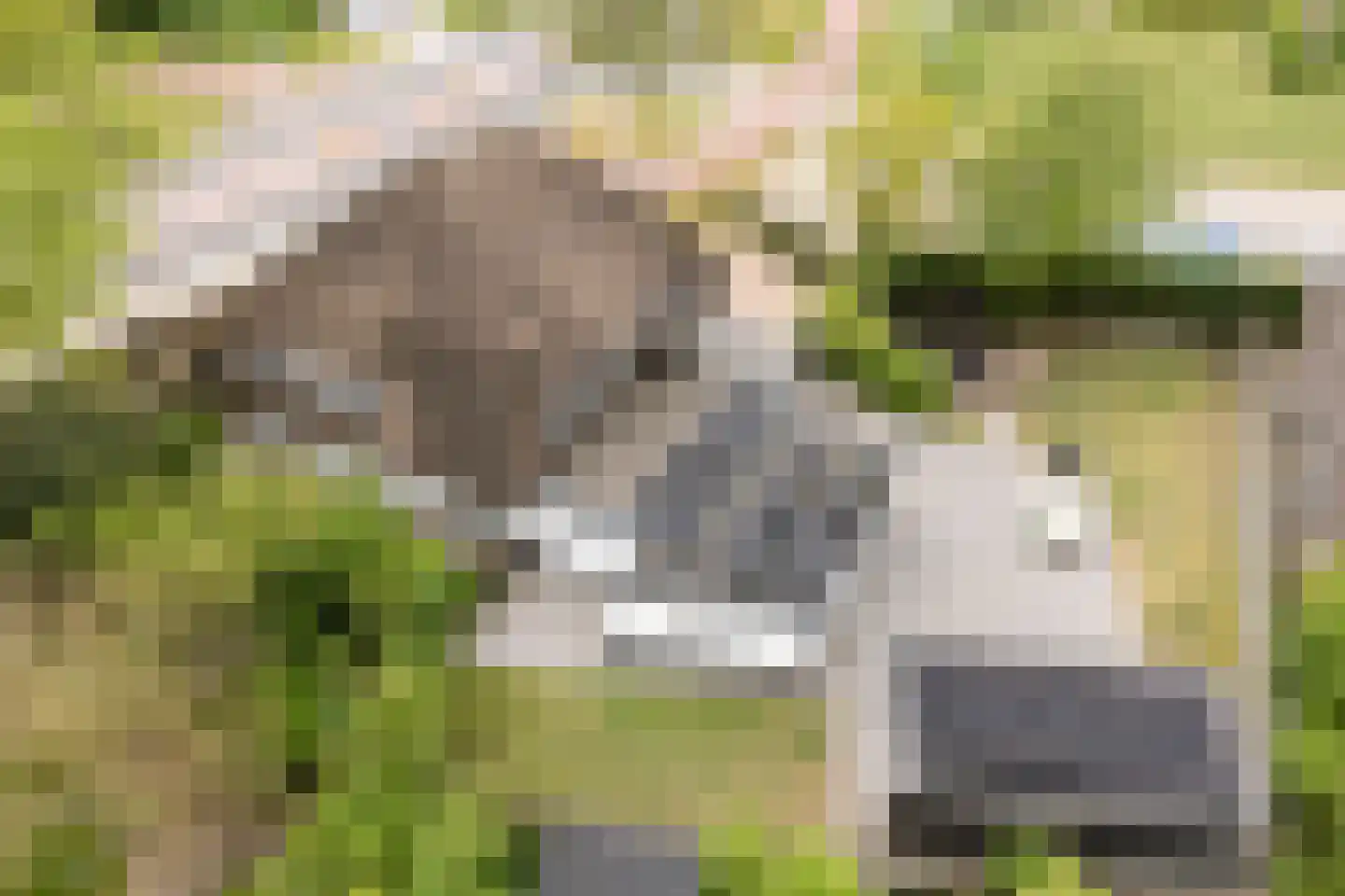 Hoofdweg 12 Nijensleek thumbnail 7