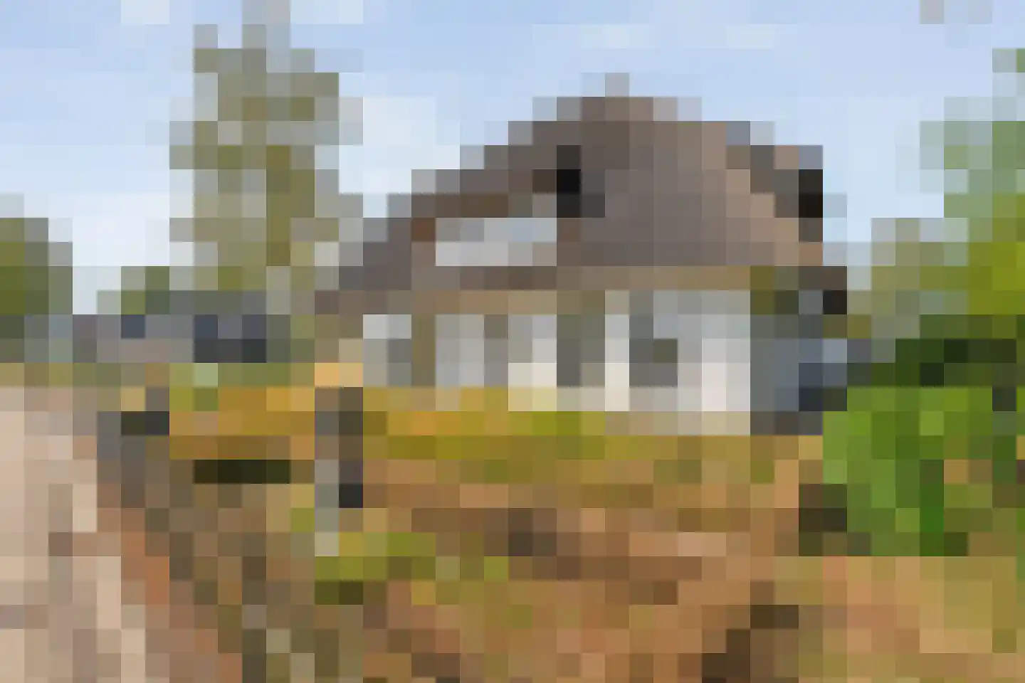 Hoofdweg 12 Nijensleek thumbnail 9