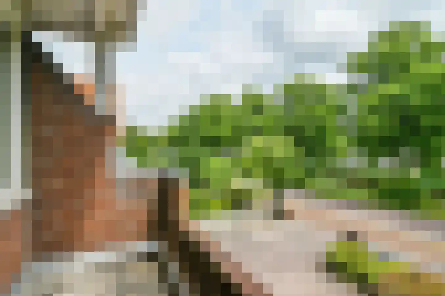 Hoofdweg 1209 Nieuw-Vennep thumbnail 22