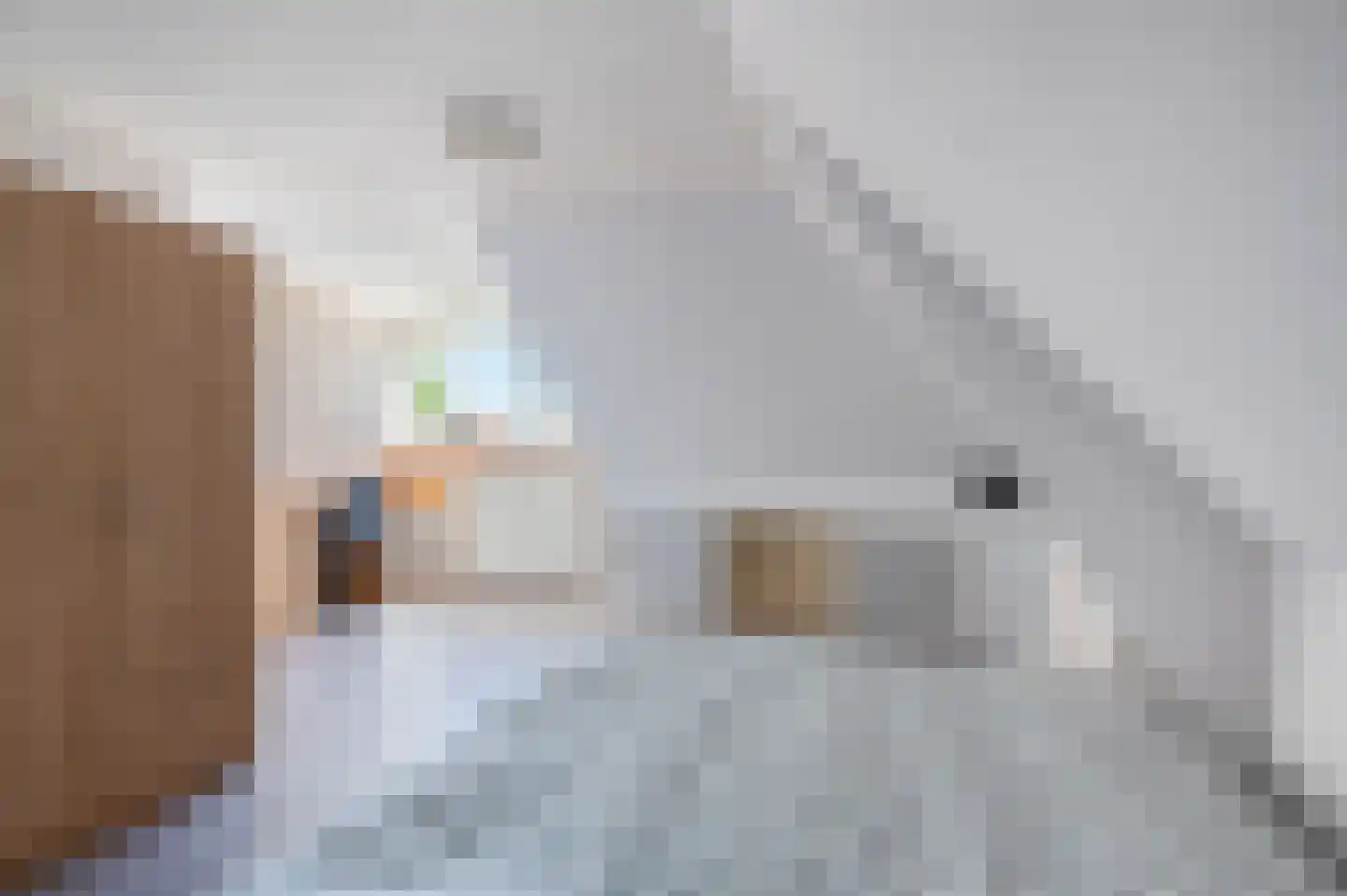 Hoofdweg 121 Wagenborgen thumbnail 47