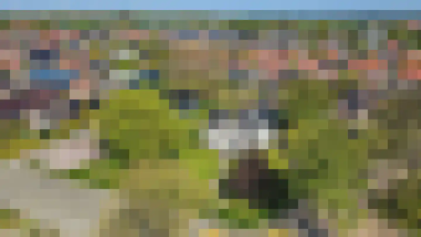 Hoofdweg 121 Wagenborgen thumbnail 6