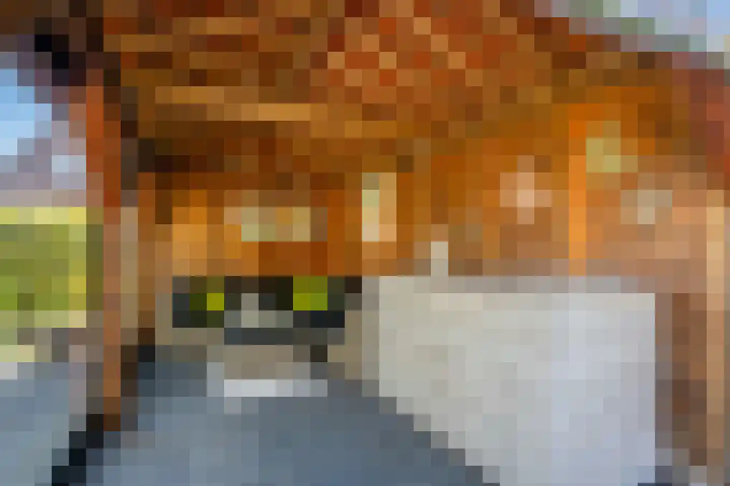 Hoofdweg 121 Wagenborgen thumbnail 63