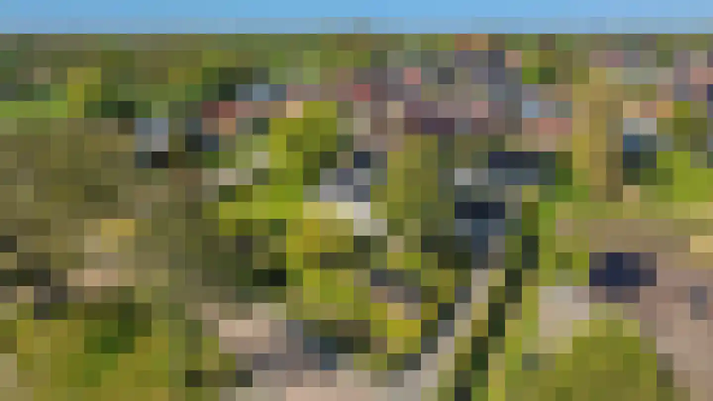 Hoofdweg 121 Wagenborgen thumbnail 7