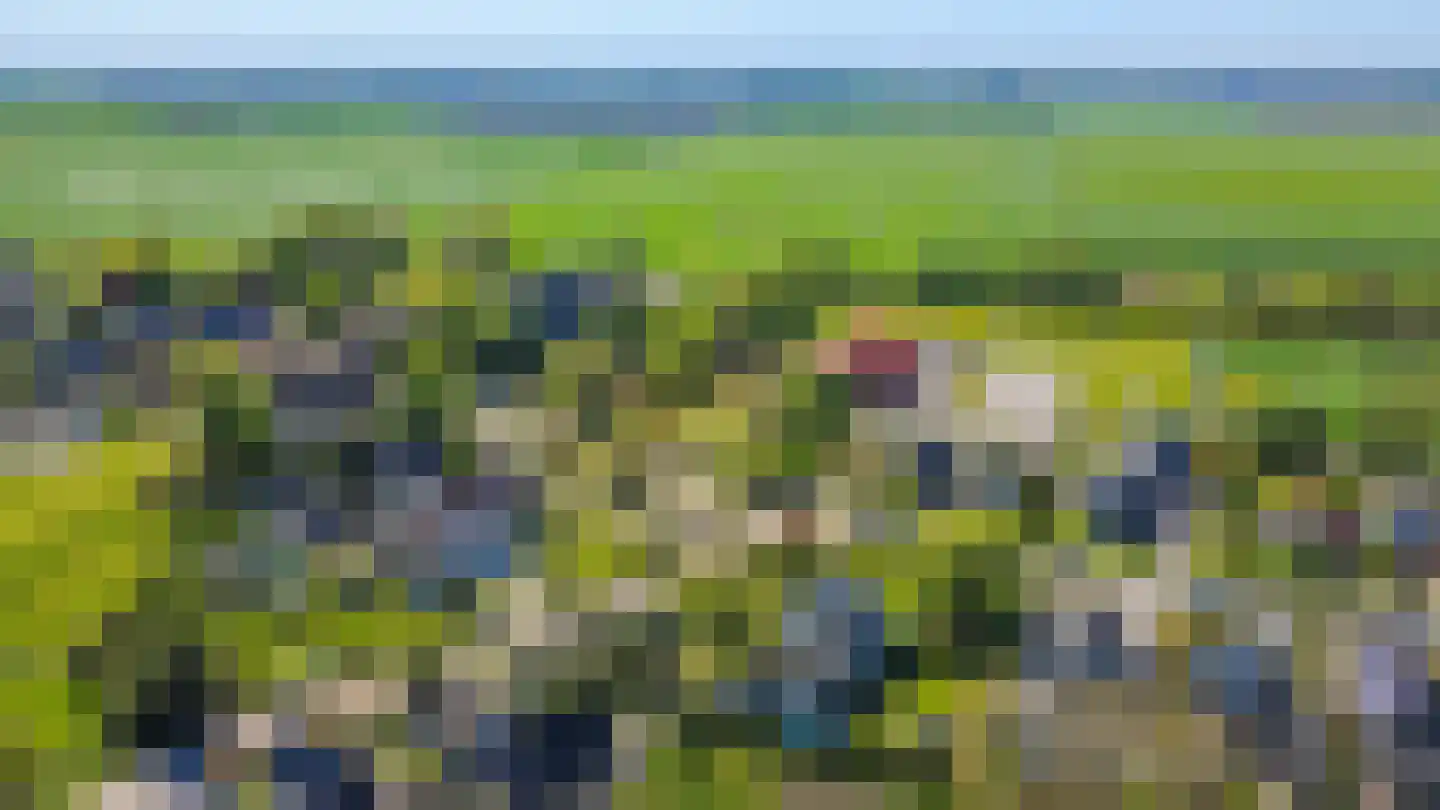 Hoofdweg 121 Wagenborgen thumbnail 78