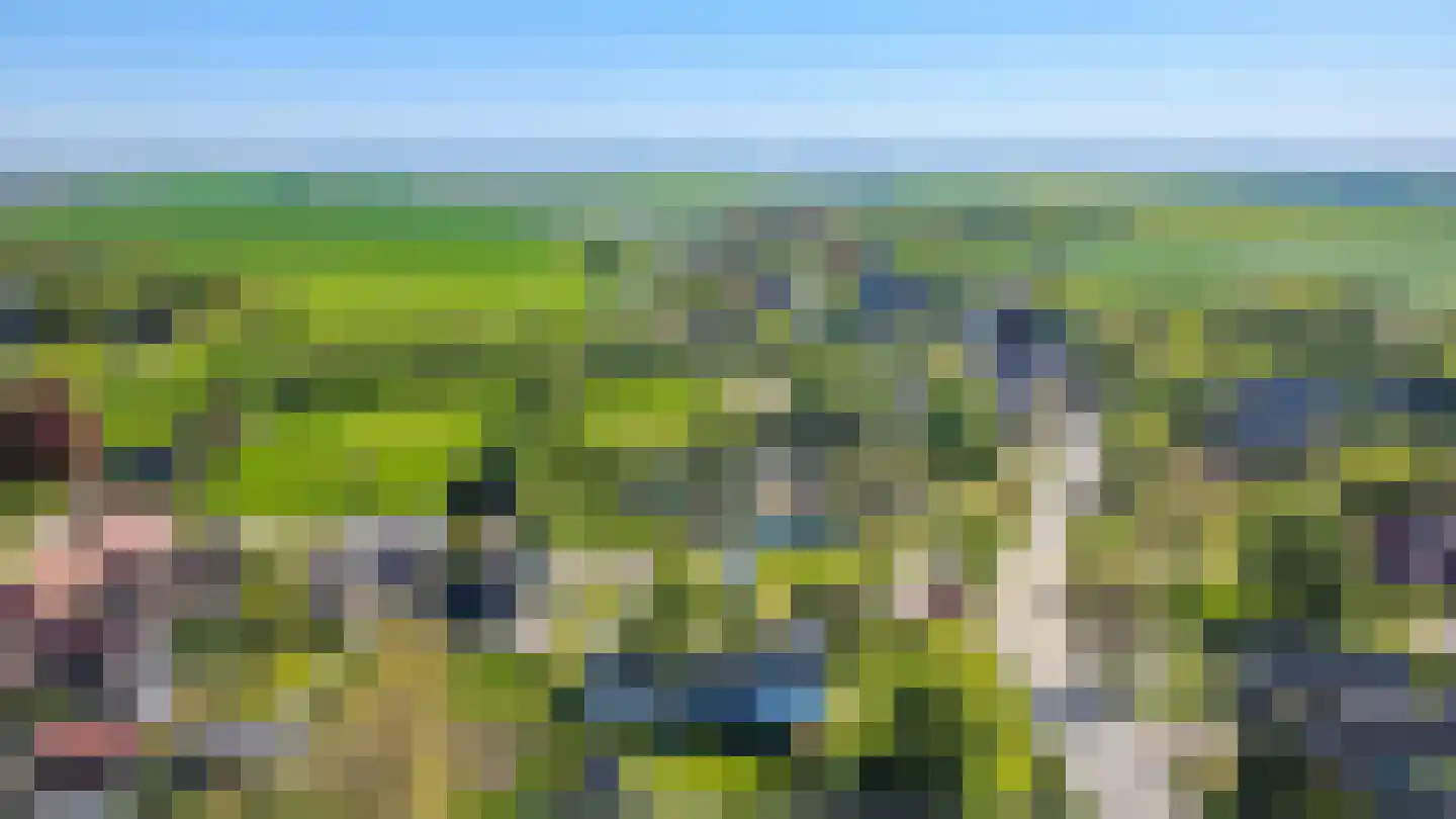 Hoofdweg 121 Wagenborgen thumbnail 79