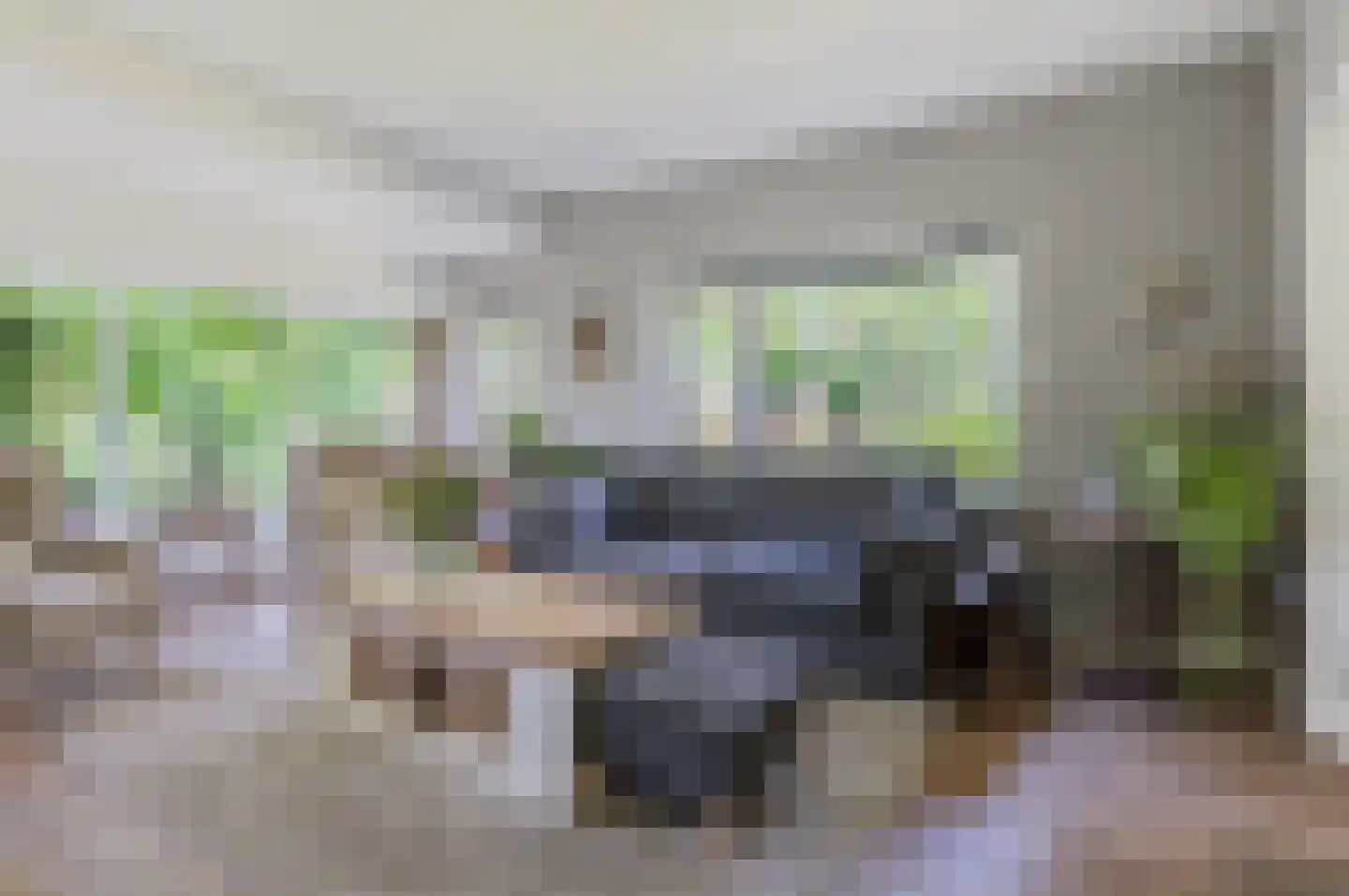 Hoofdweg 122 Bellingwolde thumbnail 18