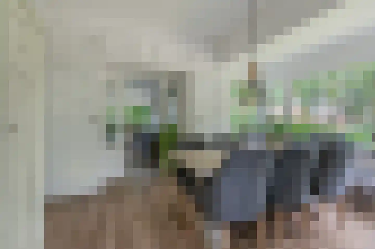 Hoofdweg 122 Bellingwolde thumbnail 23
