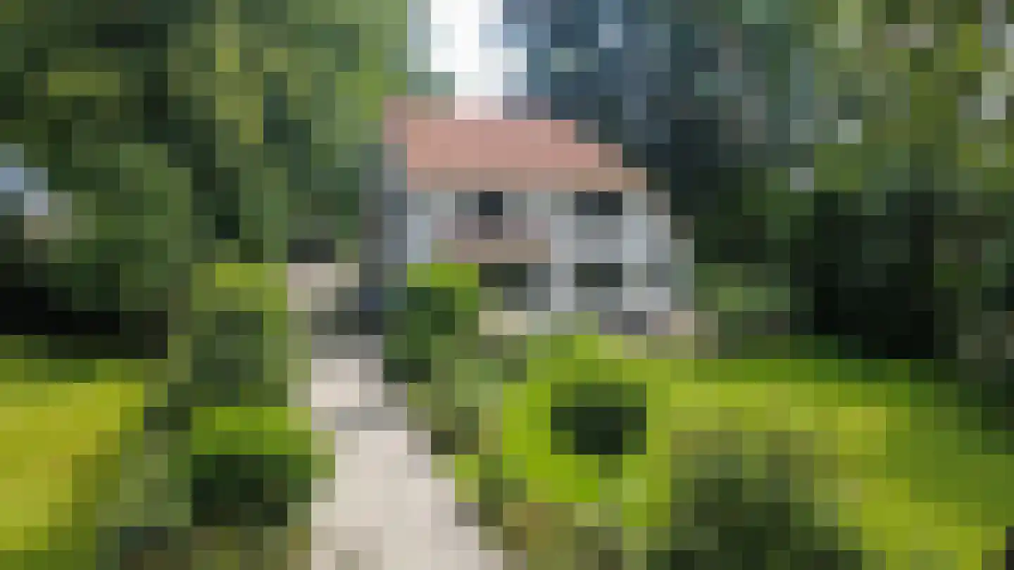 Hoofdweg 122 Bellingwolde thumbnail 5