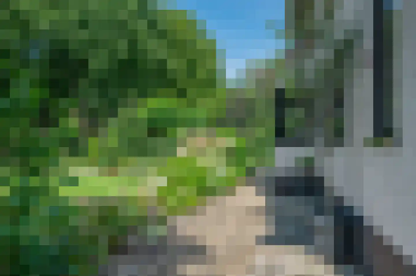 Hoofdweg 122 Bellingwolde thumbnail 61