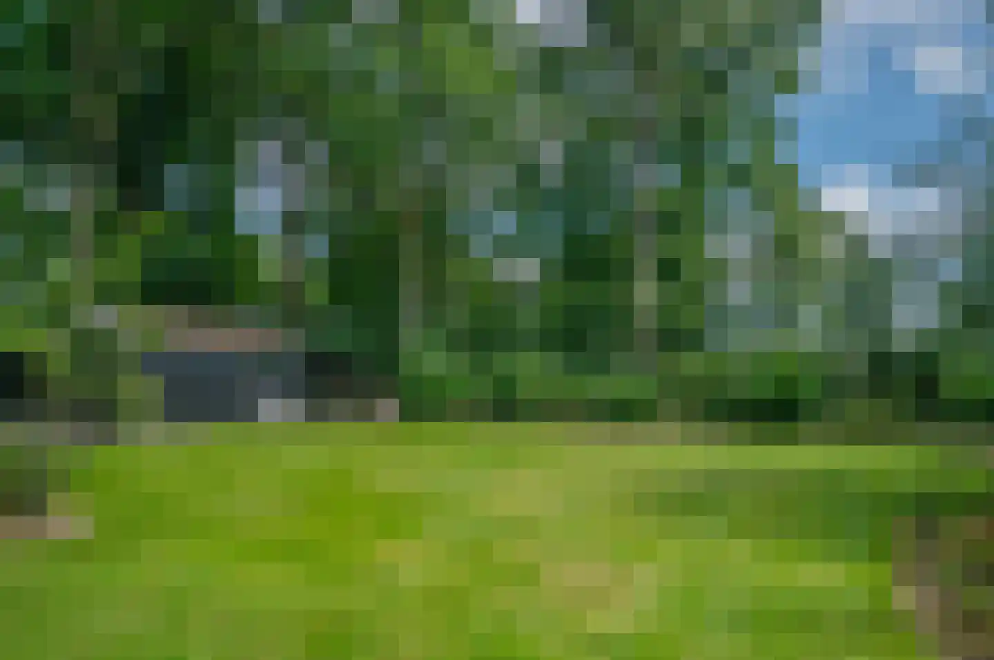 Hoofdweg 122 Bellingwolde thumbnail 62