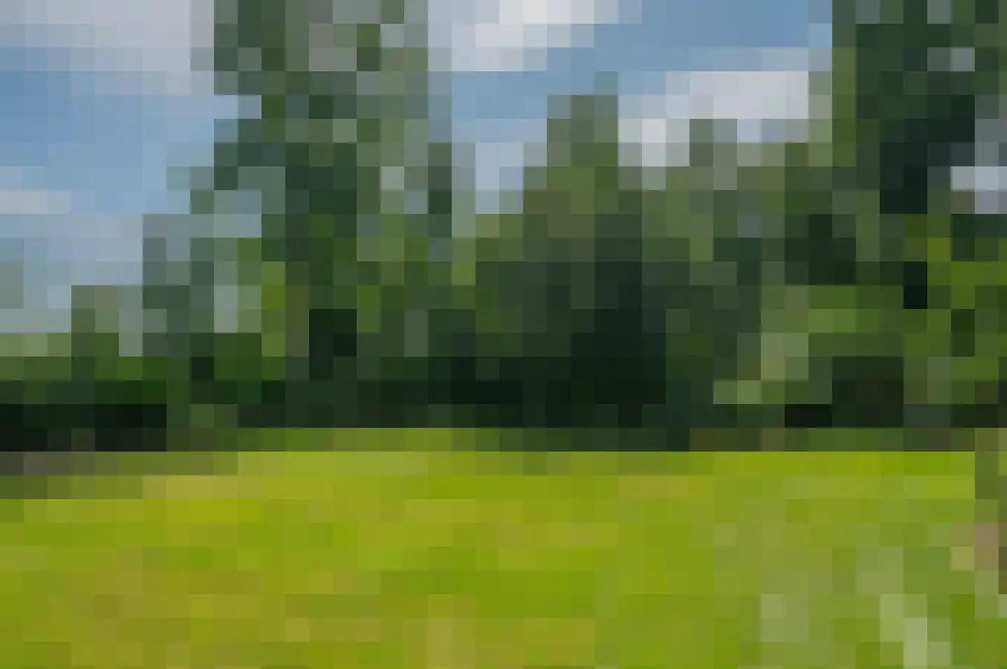 Hoofdweg 122 Bellingwolde thumbnail 64
