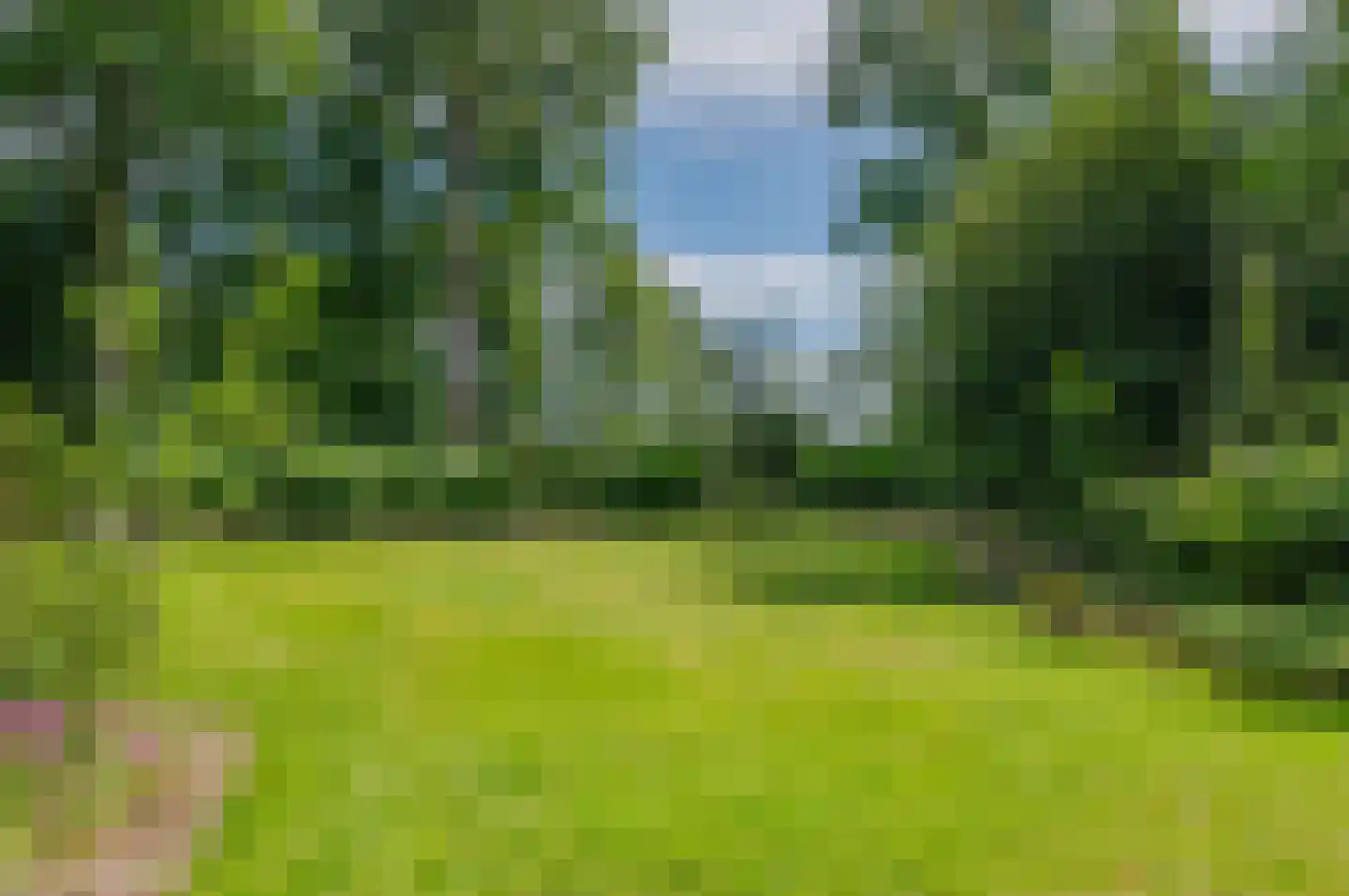 Hoofdweg 122 Bellingwolde thumbnail 65