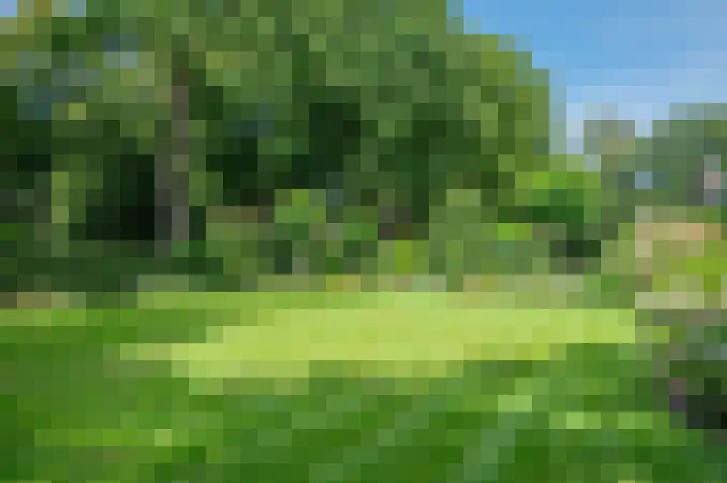Hoofdweg 122 Bellingwolde thumbnail 66
