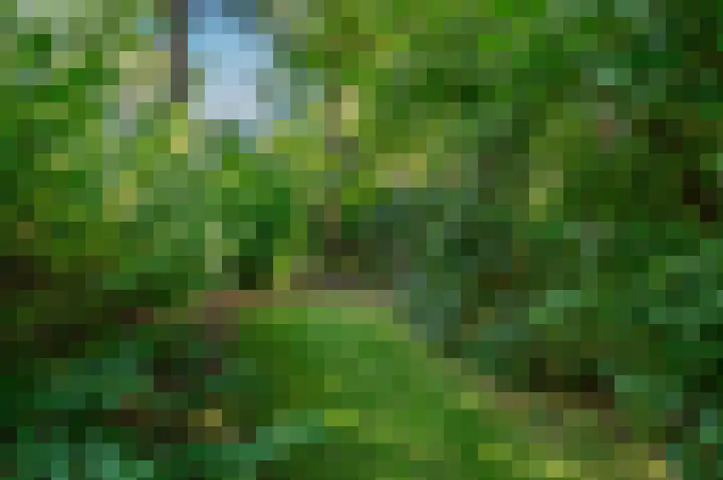 Hoofdweg 122 Bellingwolde thumbnail 67