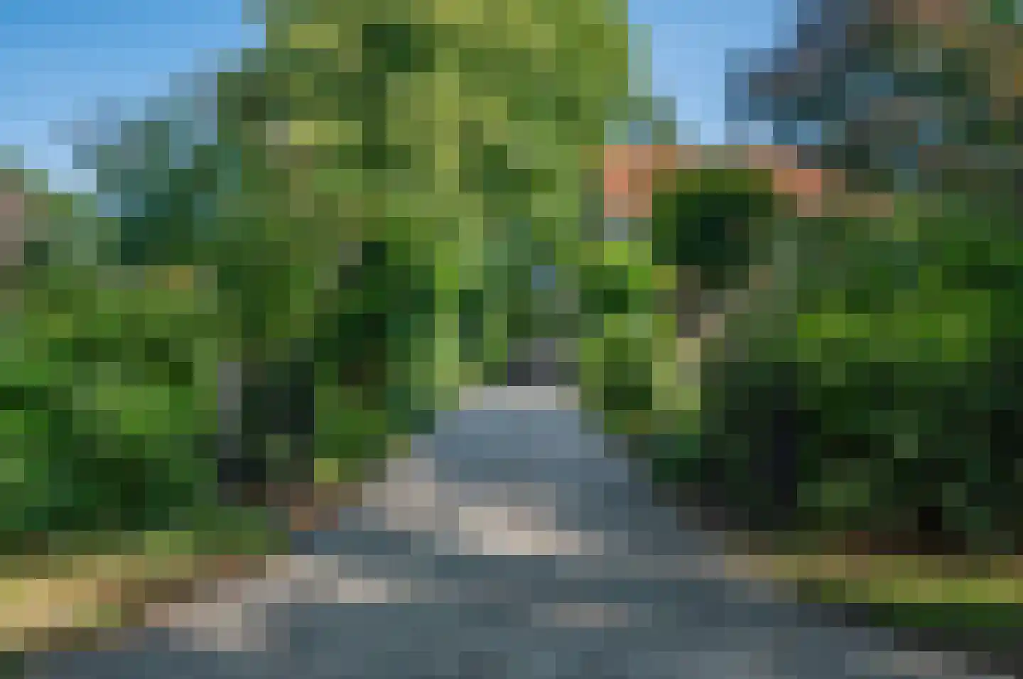 Hoofdweg 122 Bellingwolde thumbnail 70