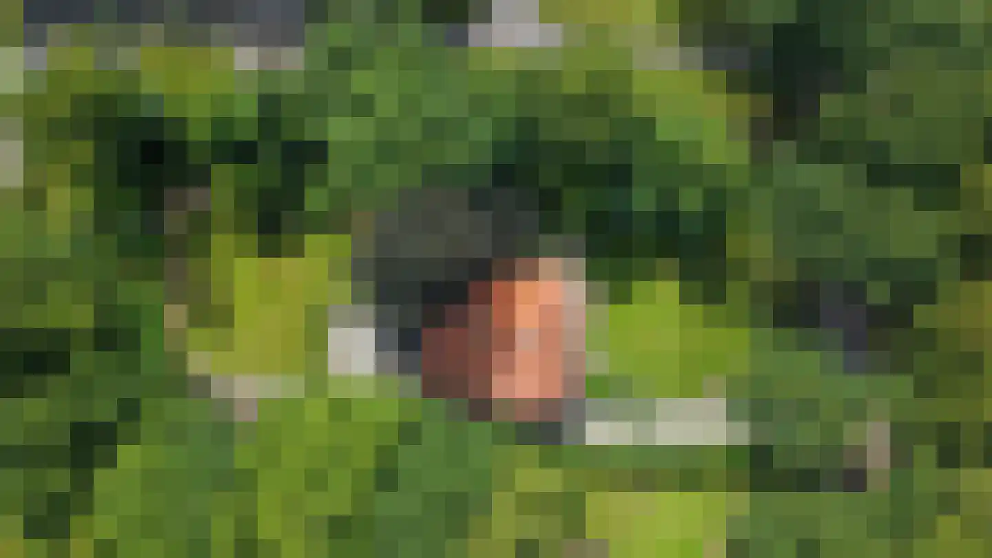 Hoofdweg 122 Bellingwolde thumbnail 71