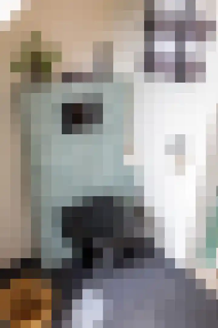 Hoofdweg 122 Harkstede thumbnail 38