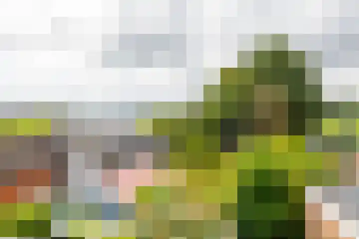 Hoofdweg 122 Harkstede thumbnail 39