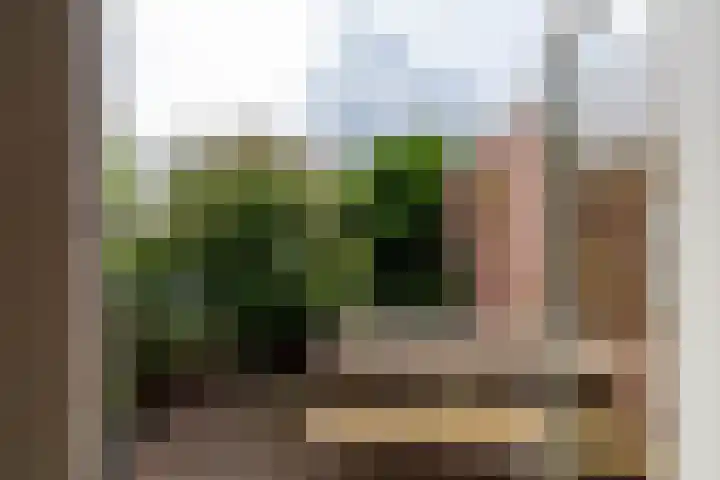 Hoofdweg 122 Harkstede thumbnail 40
