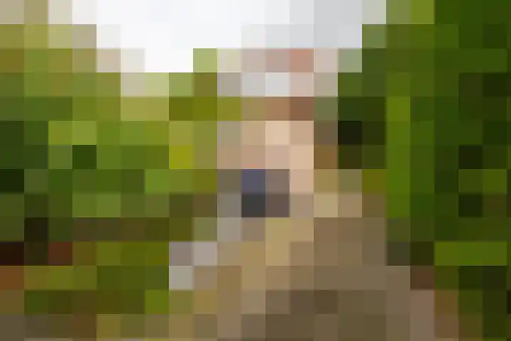 Hoofdweg 122 Harkstede thumbnail 42