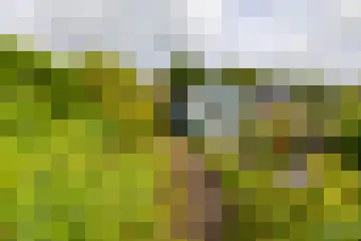 Hoofdweg 122 Harkstede thumbnail 43