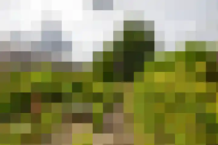 Hoofdweg 122 Harkstede thumbnail 44