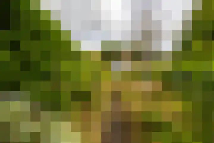 Hoofdweg 122 Harkstede thumbnail 45