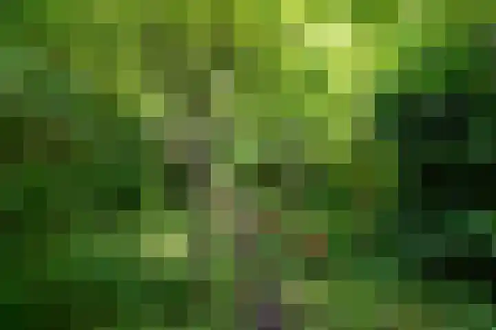 Hoofdweg 122 Harkstede thumbnail 46