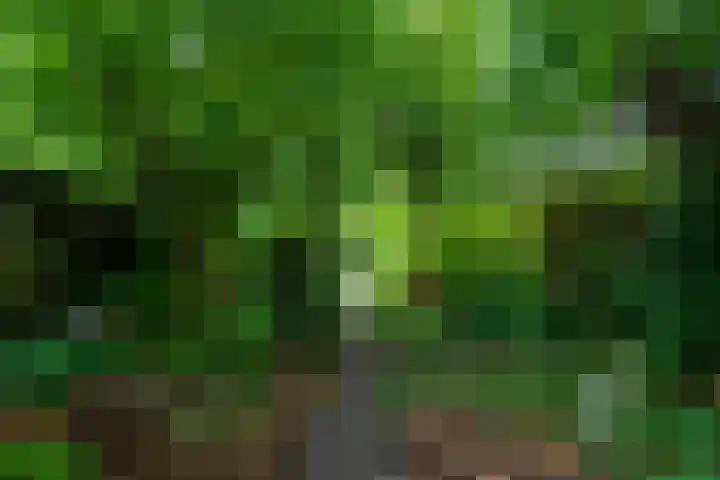 Hoofdweg 122 Harkstede thumbnail 47