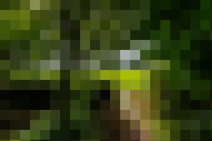 Hoofdweg 122 Harkstede thumbnail 48