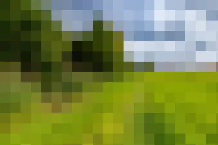 Hoofdweg 122 Harkstede thumbnail 49