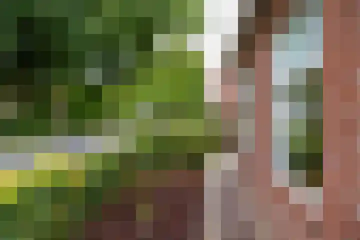 Hoofdweg 122 Harkstede thumbnail 5