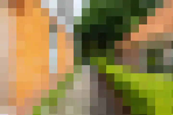 Hoofdweg 122 Harkstede thumbnail 51