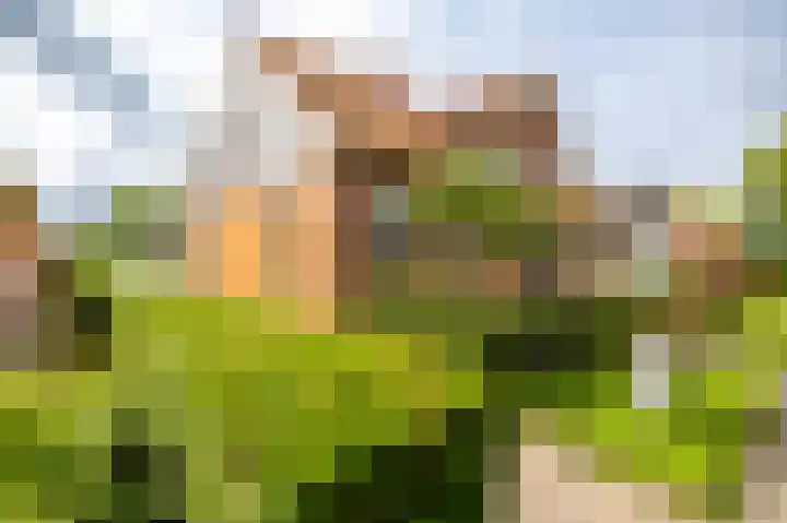 Hoofdweg 122 Harkstede thumbnail 52