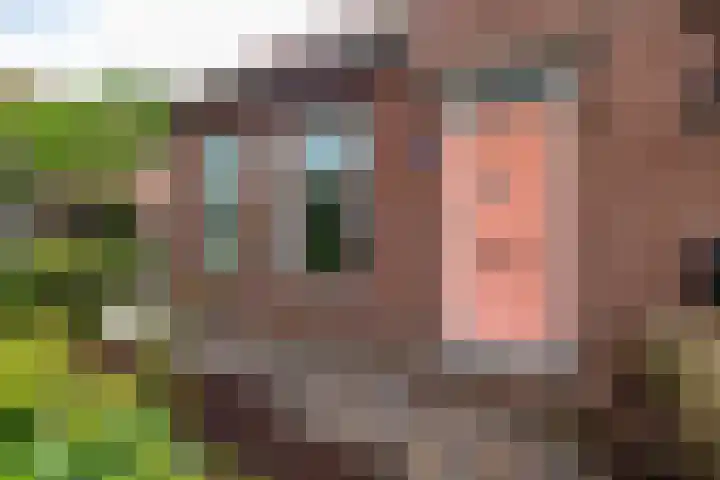 Hoofdweg 122 Harkstede thumbnail 6